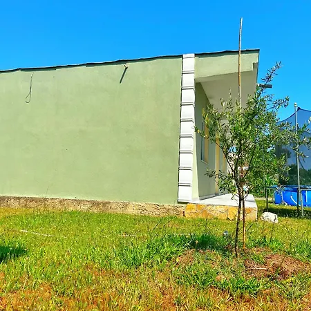 Olive House Casa vacanze